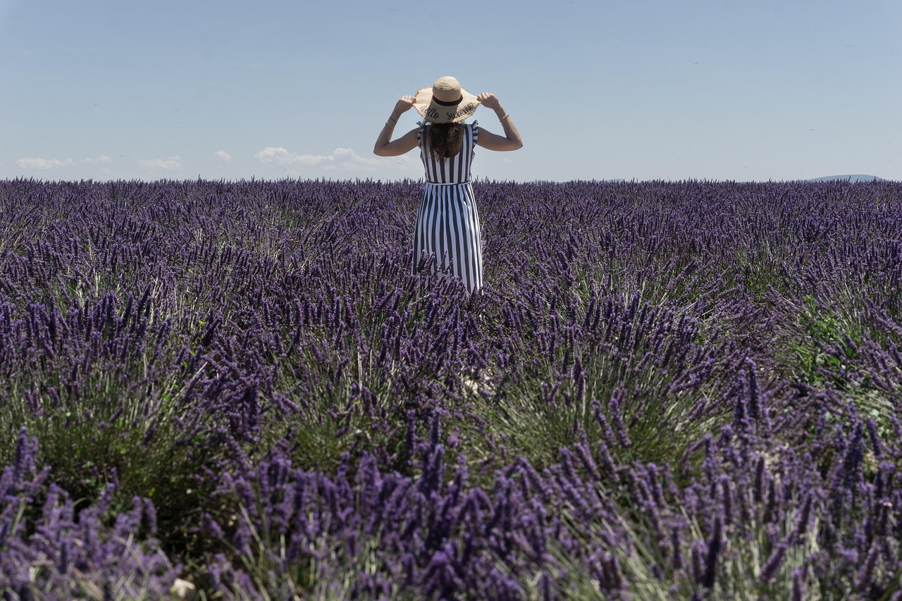 lavender, flower background, flowers, woman, provence, beautiful flowers, purple, flower wallpaper, nature, summer, france