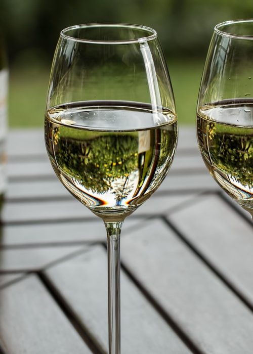 dégustation vin cannes